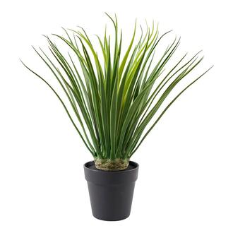 Kunststoff Pflanze Dracena