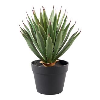 Kunststoff Pflanze Agave