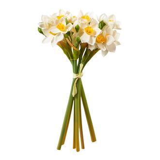 Kunststoff Narzissenbund Daffodil
