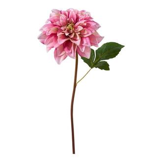 Kunststoff Dahlienpick Lilly