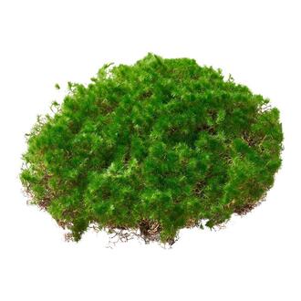 Kunststoff Moosmatte Moosy