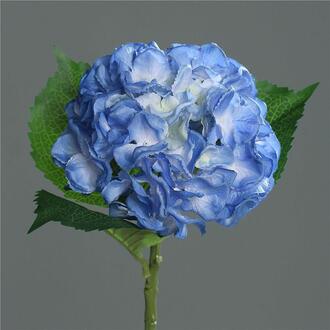 Plastic Hydrangea Pulsar