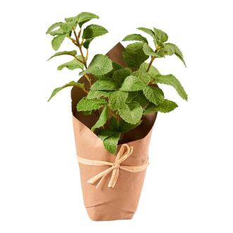 Plastic Plant Mint