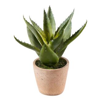 Plastic Plant Aloe