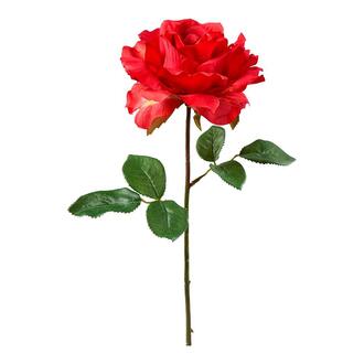 Plastic Rose Ruby