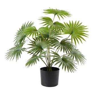 Plastic Palm Fan Palm