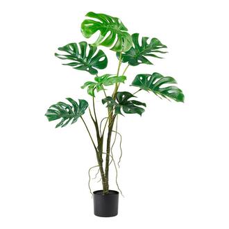 Plastic Tree Philodendron