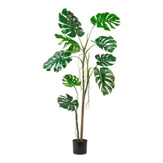 Plastic Tree Philodendron