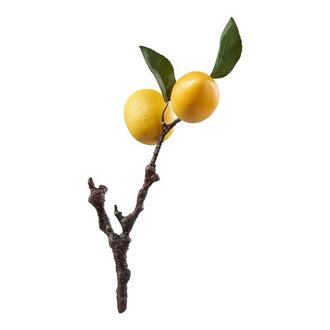 Zitronenzweig Lemon