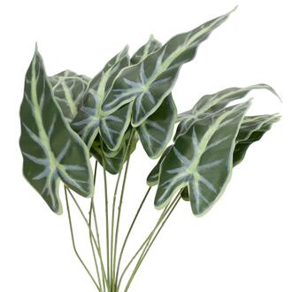 Kunststoff Blatt Allocasia