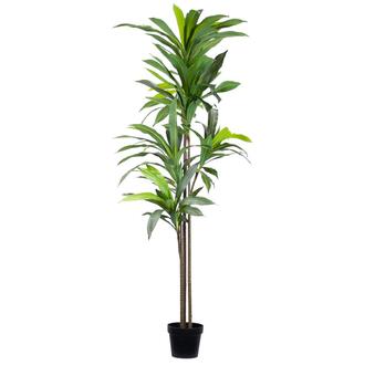 Plastic Tree Dracena
