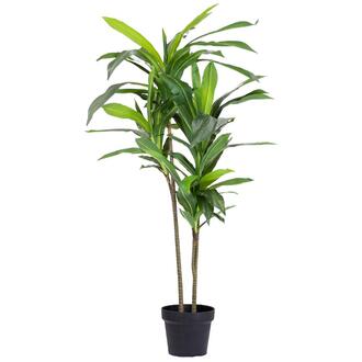 Arbre en Plastique Dracena