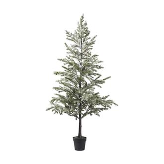 Plastic Fir Noble Pine
