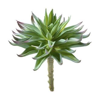 Plastic Succulent Cactus