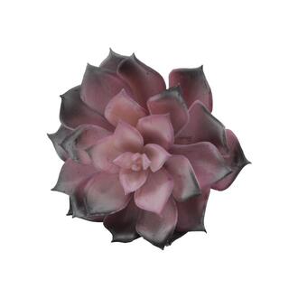 Plastic Succulent Plant Echeveria