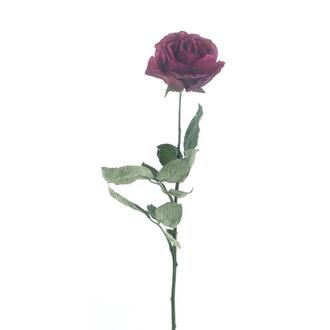 Kunststoff Rose Mira/ECO