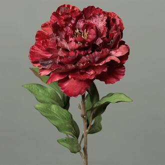 Plastic Peony Nala