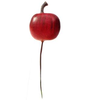 Apple Fresh