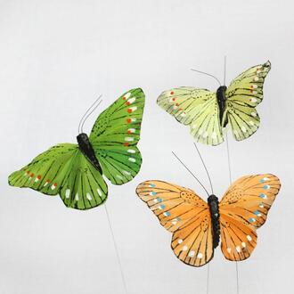Feather Butterfly Flori/Colorful