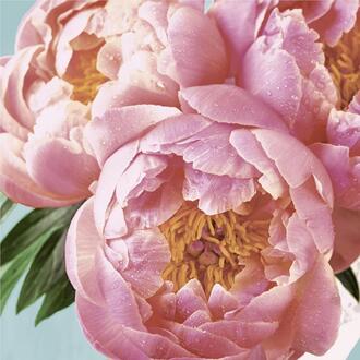 Napkin Peony