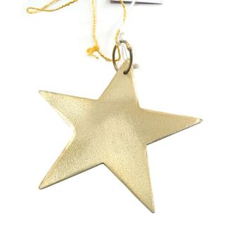 Metall Stern Skyfall