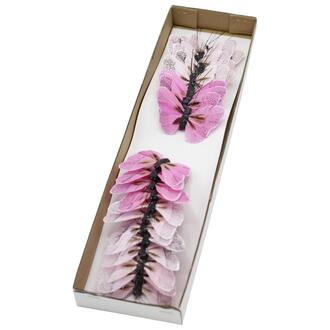 Feather Butterfly Flori
