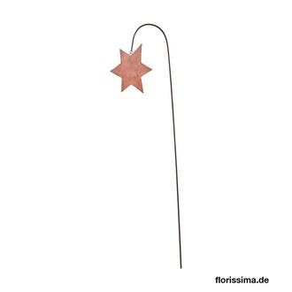 Piquet de Jardin en Métal Étoile