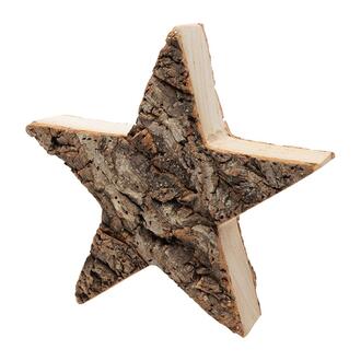 Paulownia/Écorce Wood Star