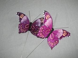 Feather Butterfly Flori