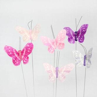 Feather Butterfly Flori
