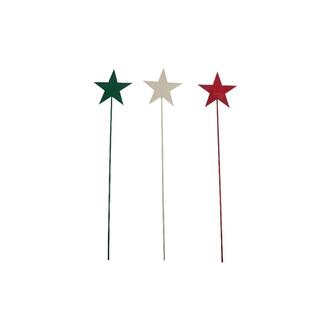 Metal Star Winter