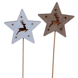 Wooden Star Deer