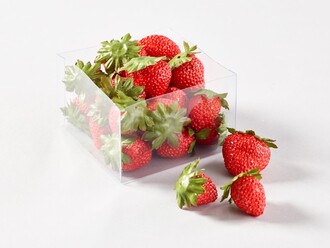 Strawberry New Harvest