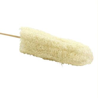 Luffa avec Tiges