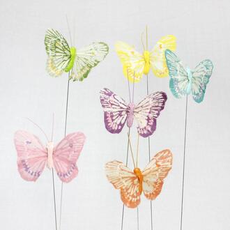 Papillon À Plumes Luzy