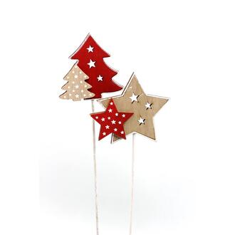 Bois Sapin/Étoile Double