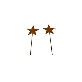 Metal Star Ari