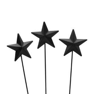 Metal Star Ari