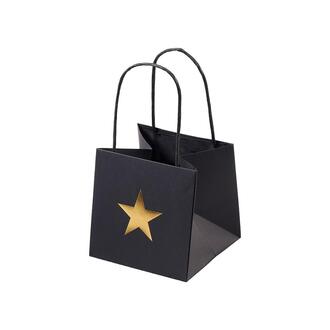 Papier Geschenktüte Stern
