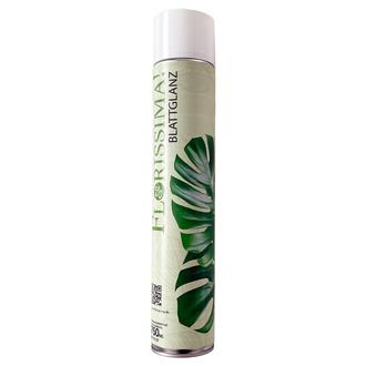 Spray Brillance des Feuilles Florissima