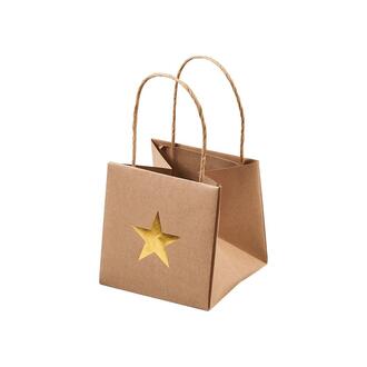 Paper Gift Bag Star