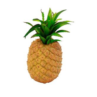 Pineapple Pine