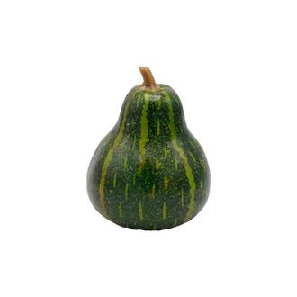Kürbis Zierkürbis