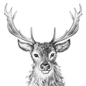 Weihnachtsserviette Hirsch Paul