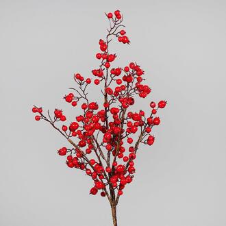 Rosehip Branch Hella