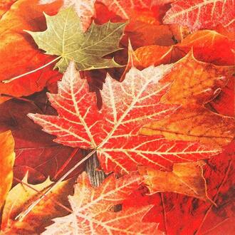 Napkin Colorful Autumn Leaves