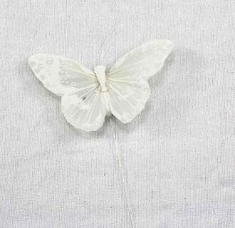 Feather Butterfly Papillon