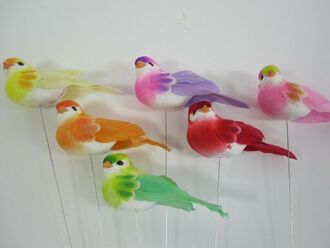 Feather Bird Mix