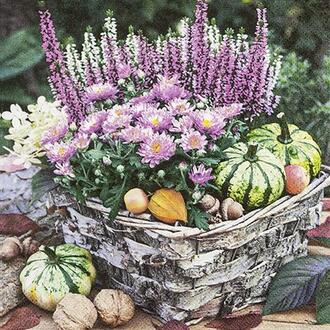 Napkin Autumn Plants In A Basket