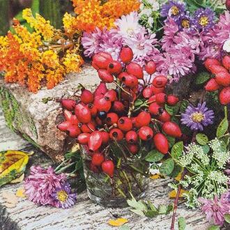Napkin Rosehips/Chrysanthemums